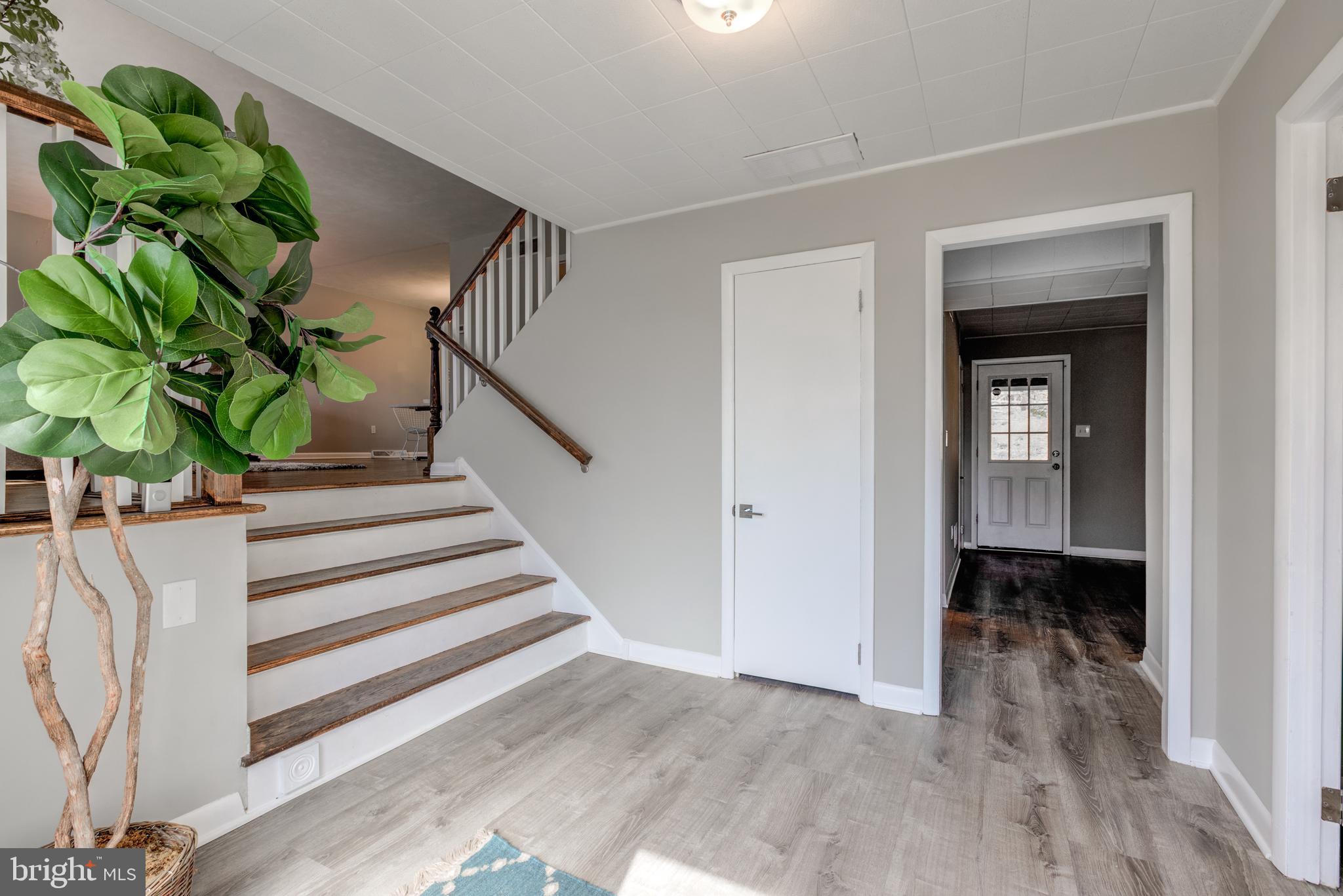 56 Fremont Rd