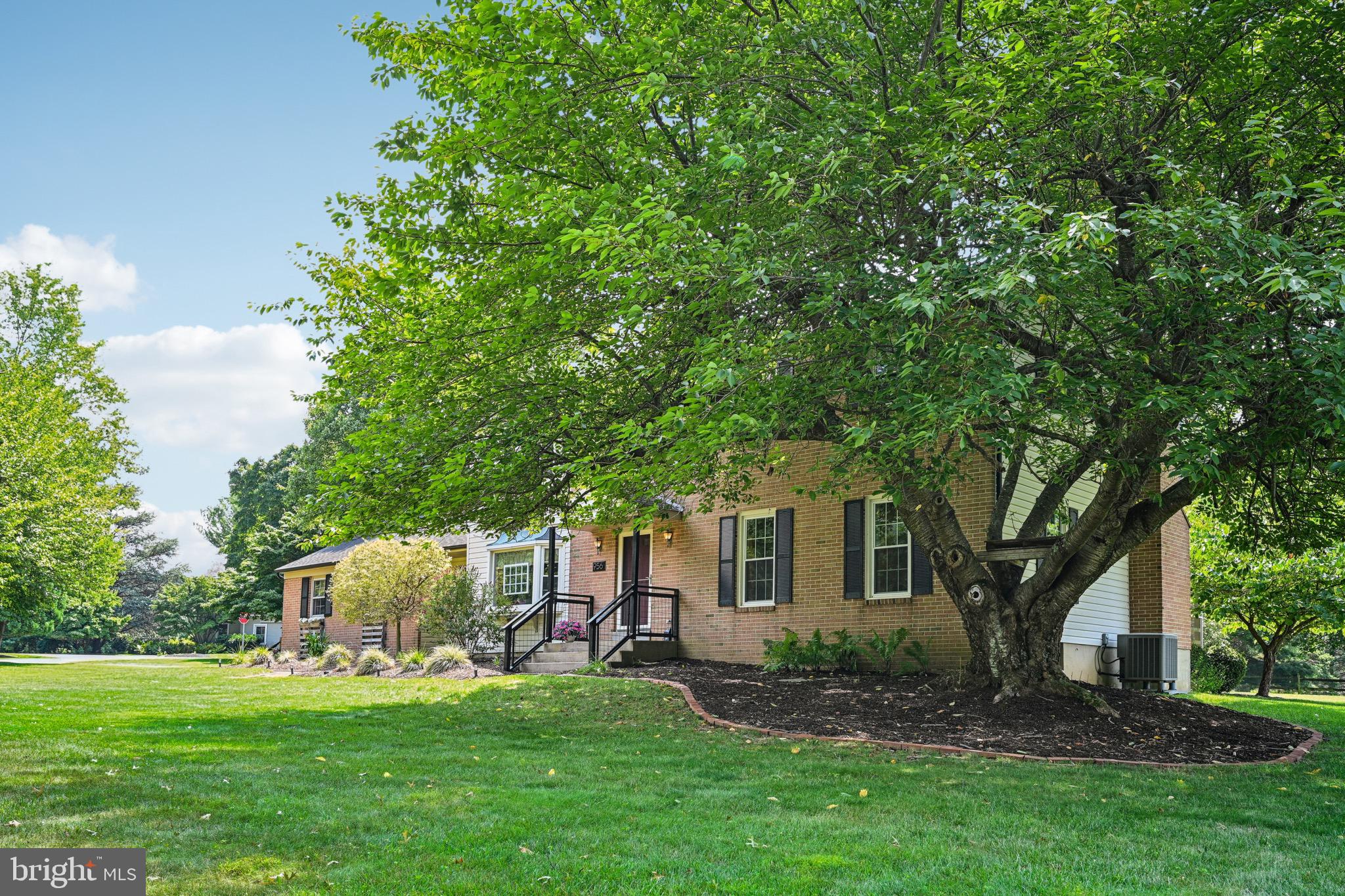 956 Cloud Ln
