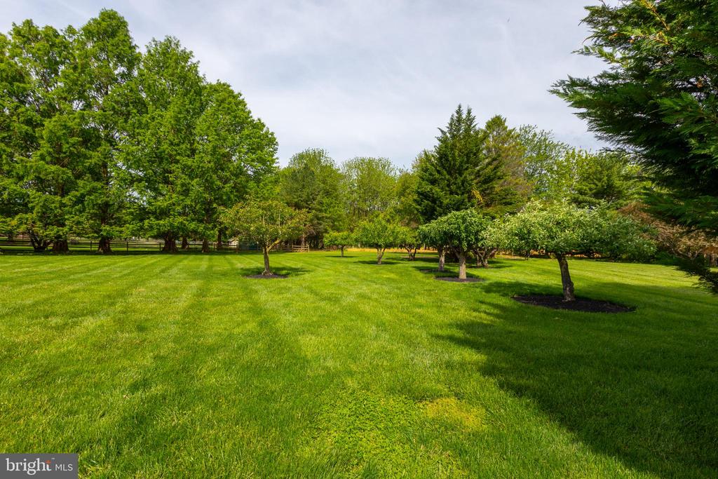293 HICKORY DRIVE