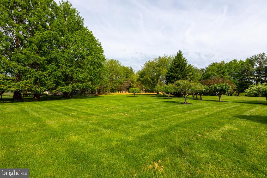 293 HICKORY DRIVE