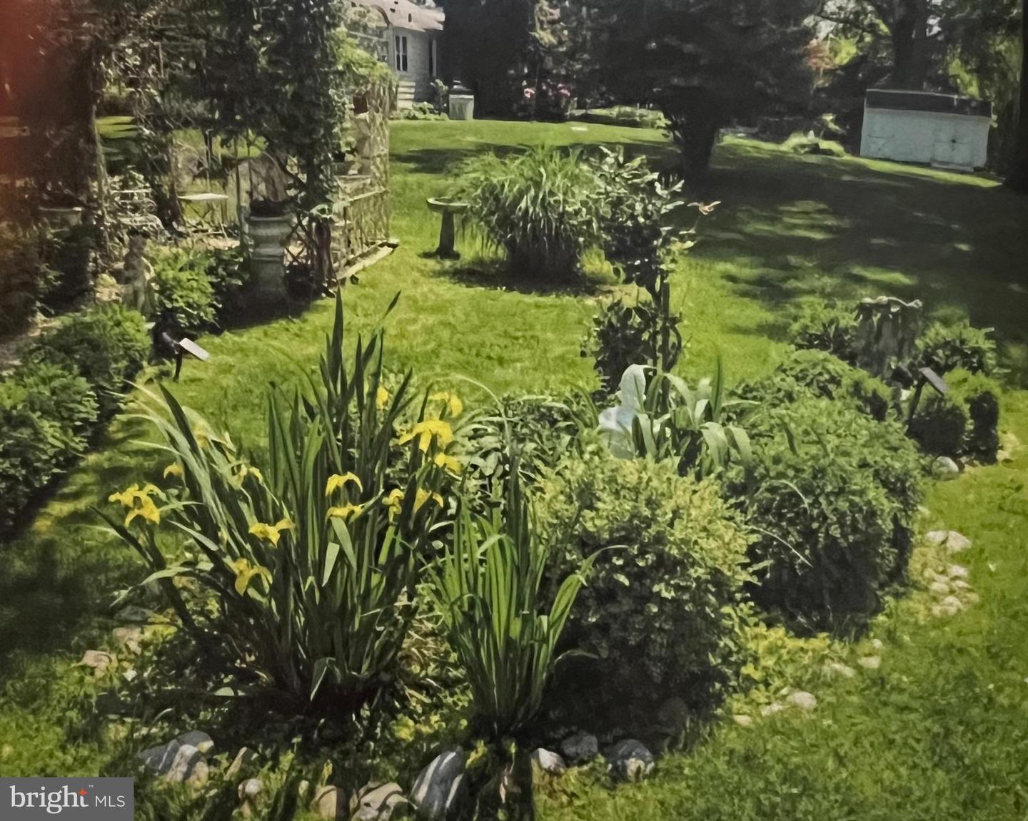203 W Rose Tree Rd