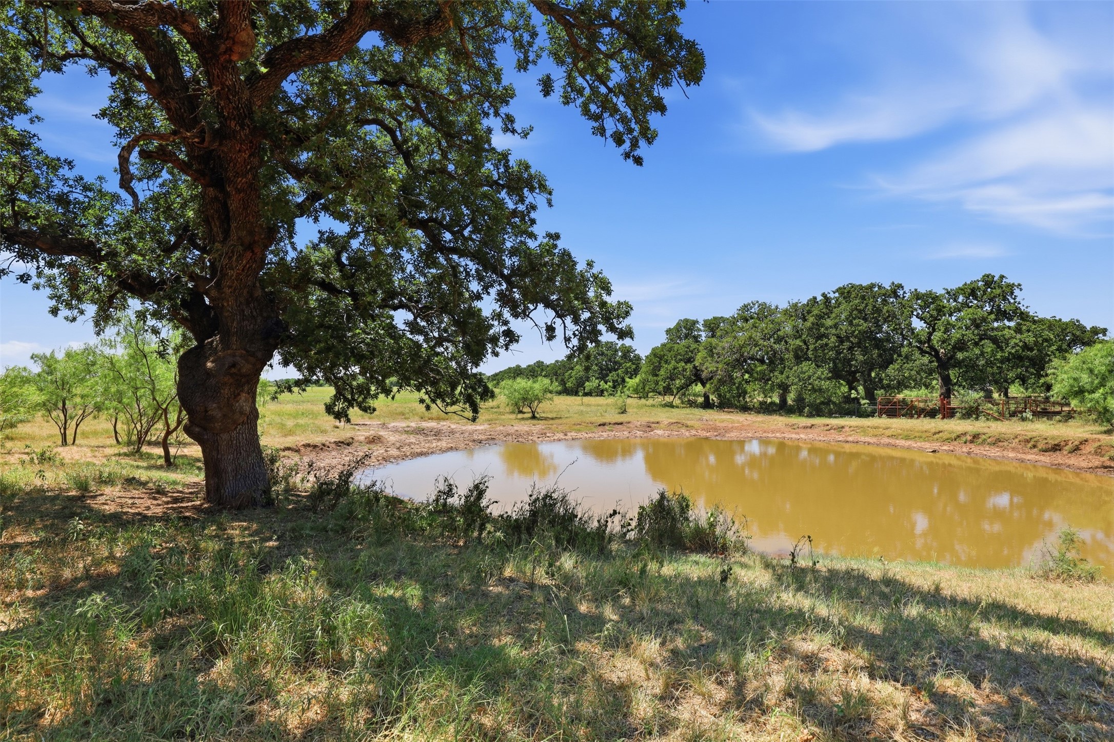 Rural acreage with a stock pond beneath a large oak tree and a ranch gate in the distance.