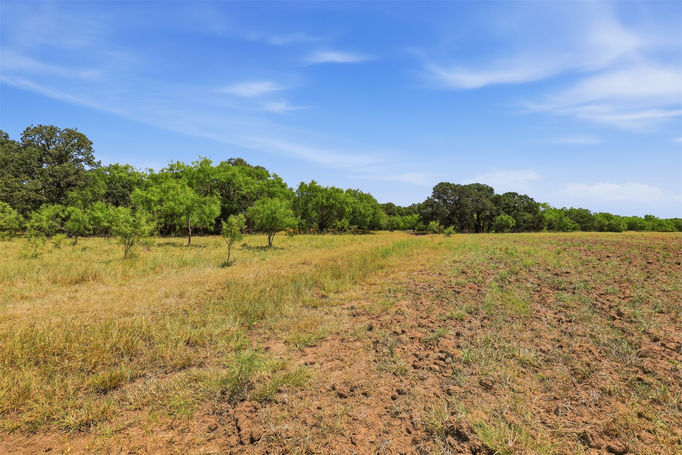 Open rural land with dry grass, turned soil, and scattered trees beneath a blue sky.