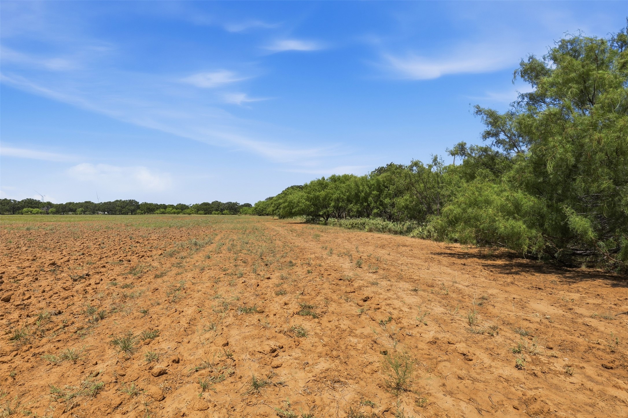 Open dry land with reddish soil, sparse grass, and a tree-lined edge beneath a blue sky.