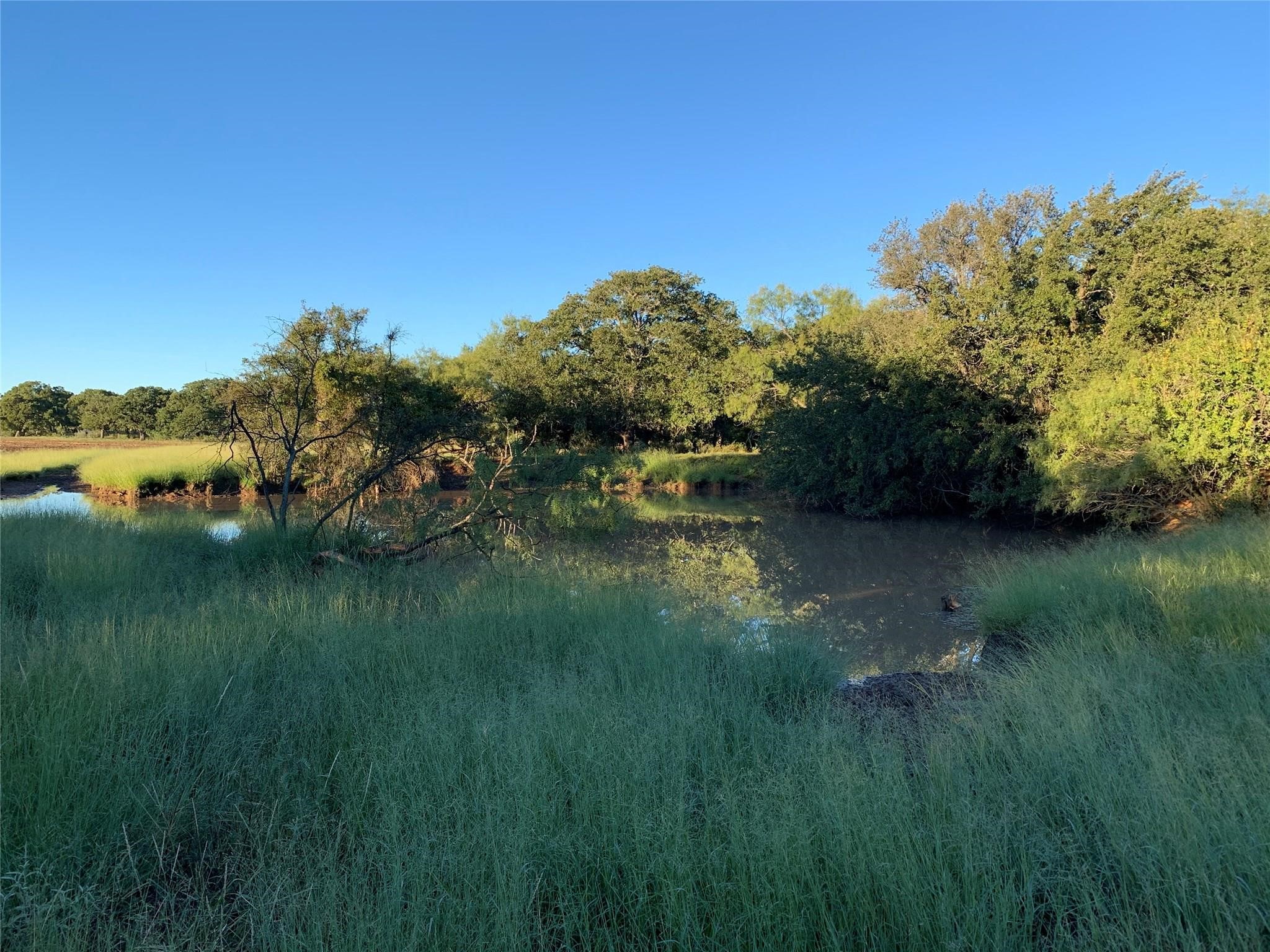 Grassy rural land with a winding creek bordered by trees.
