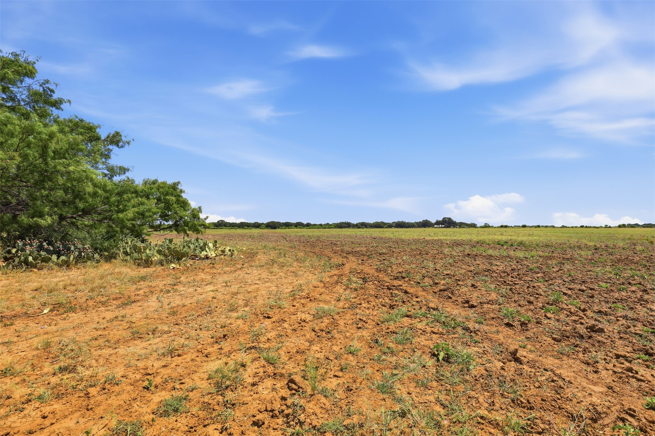 Vacant rural land with tilled reddish soil, prickly pear cactus, and trees beneath a wide blue sky.