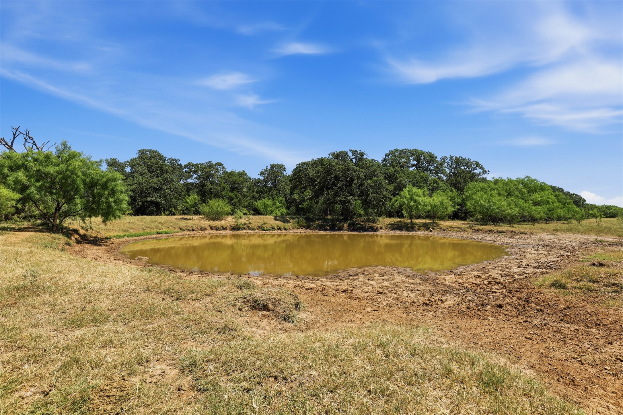 Small muddy pond surrounded by dry grass and scattered trees.