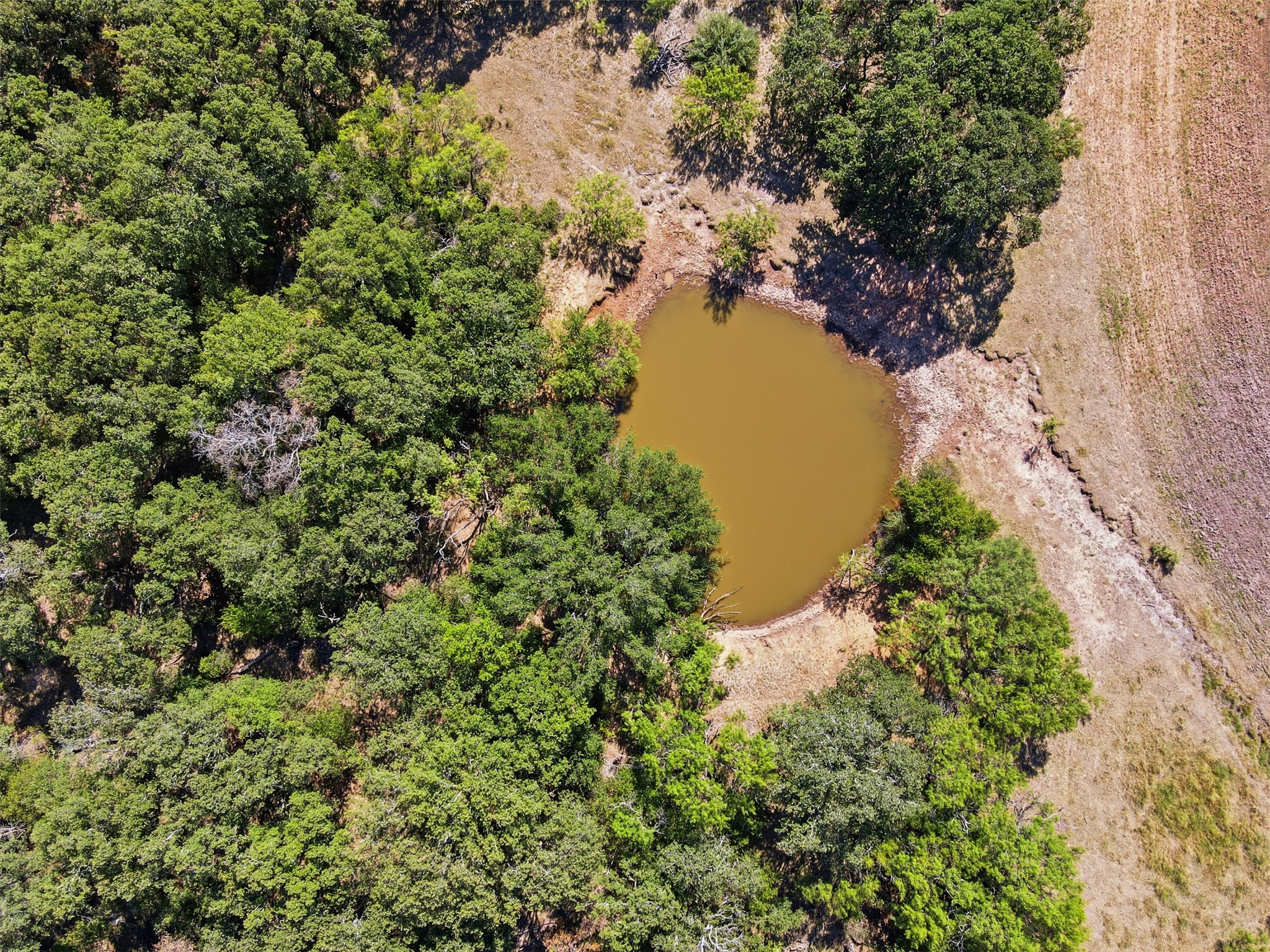 Aerial view of wooded land surrounding a small pond, with dry open ground nearby.