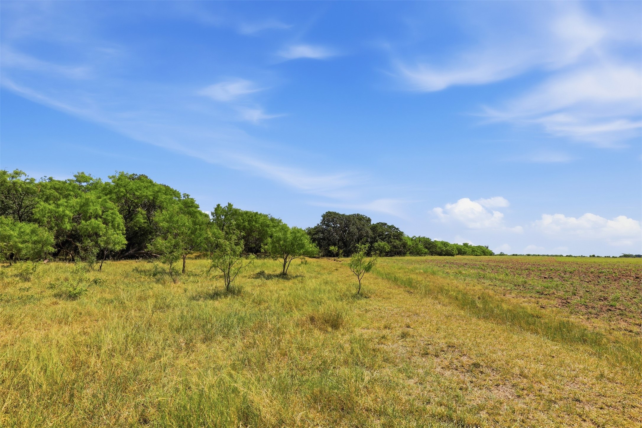 Open acreage with tall grass, scattered trees, and a cultivated field beneath a blue sky.