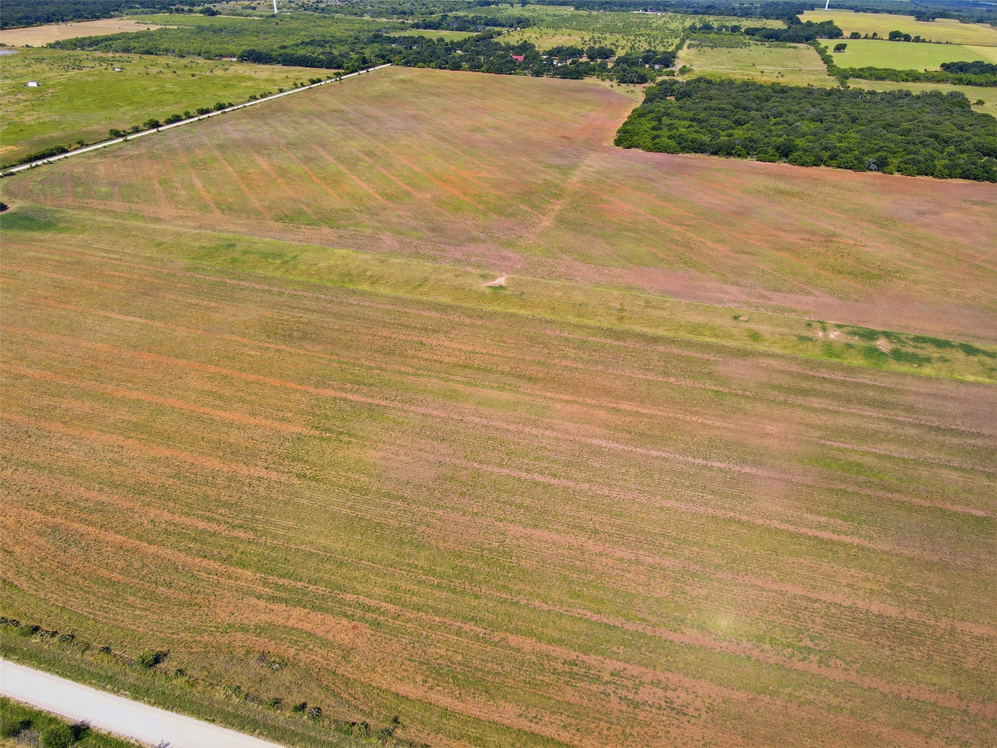 Aerial view of a broad, patchy field bordered by a road and wooded areas.