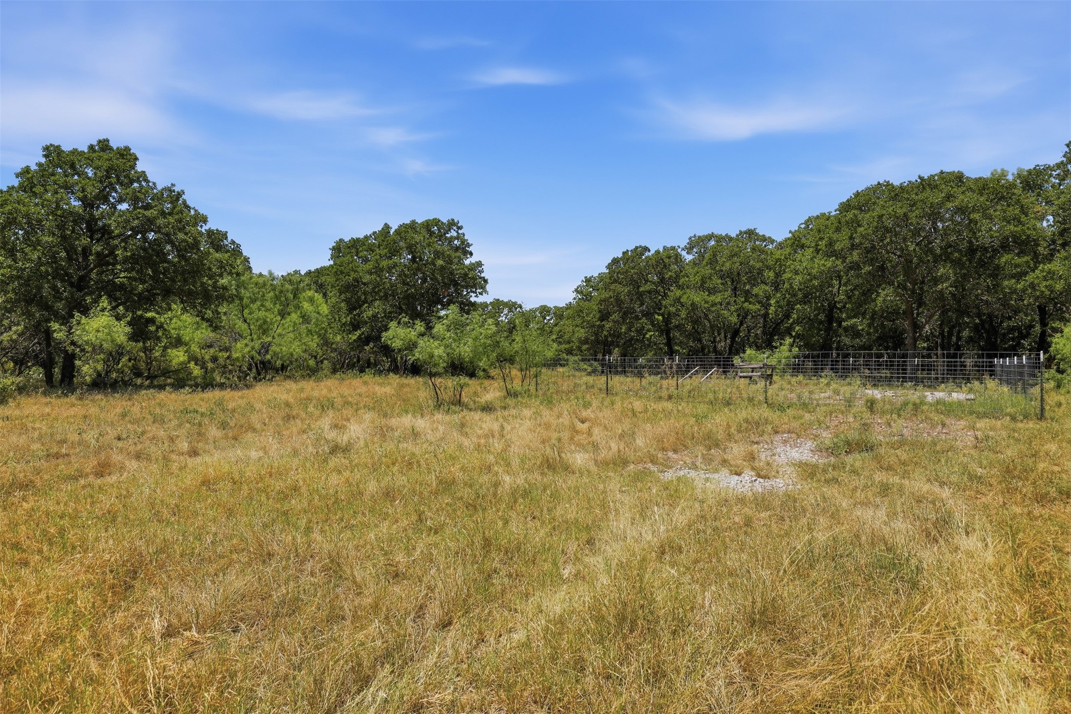 Open grassy land bordered by mature trees, with a metal livestock fence.