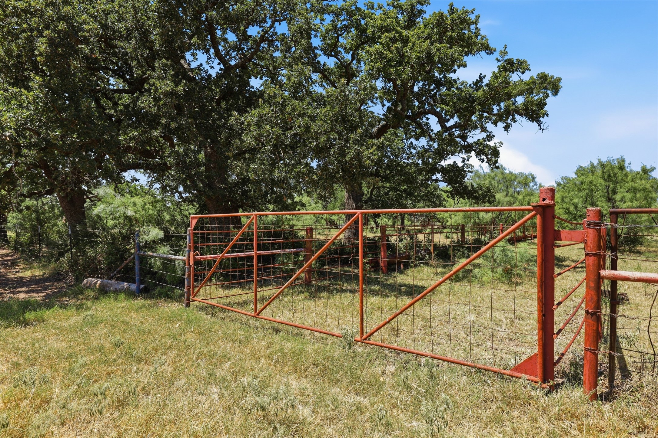 Rural property entrance with a rust-red metal gate beneath large oak trees.