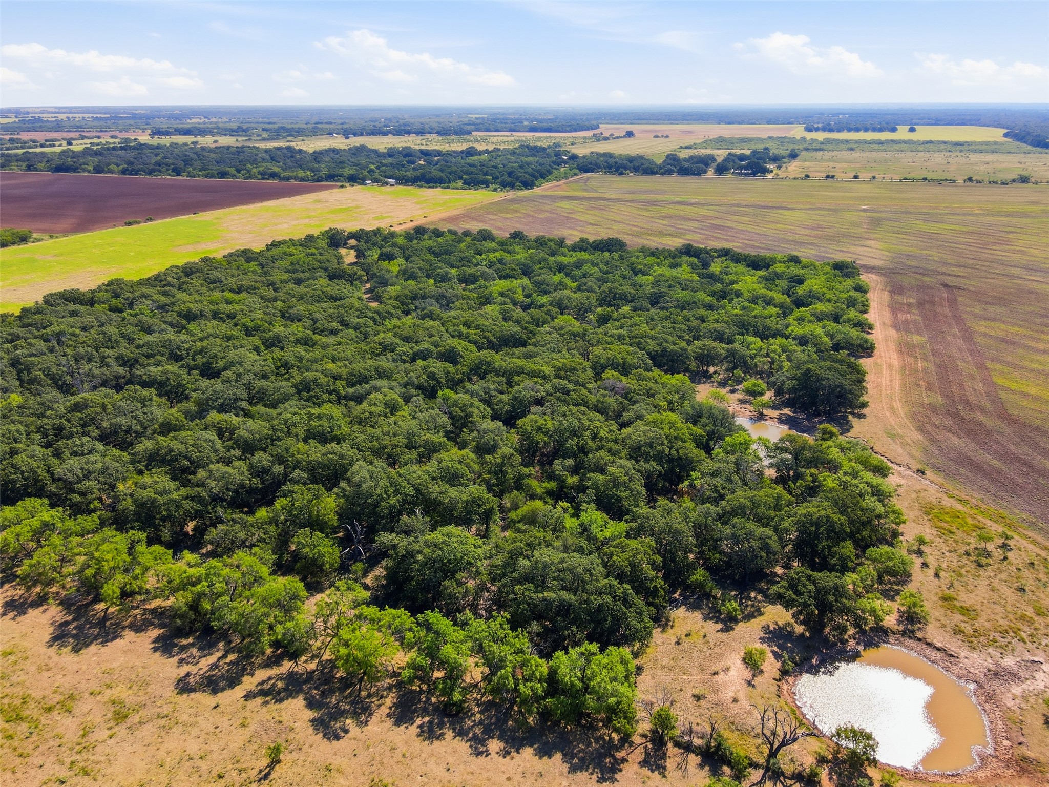 Aerial view of a wooded rural tract surrounded by farm fields, with two ponds nearby.