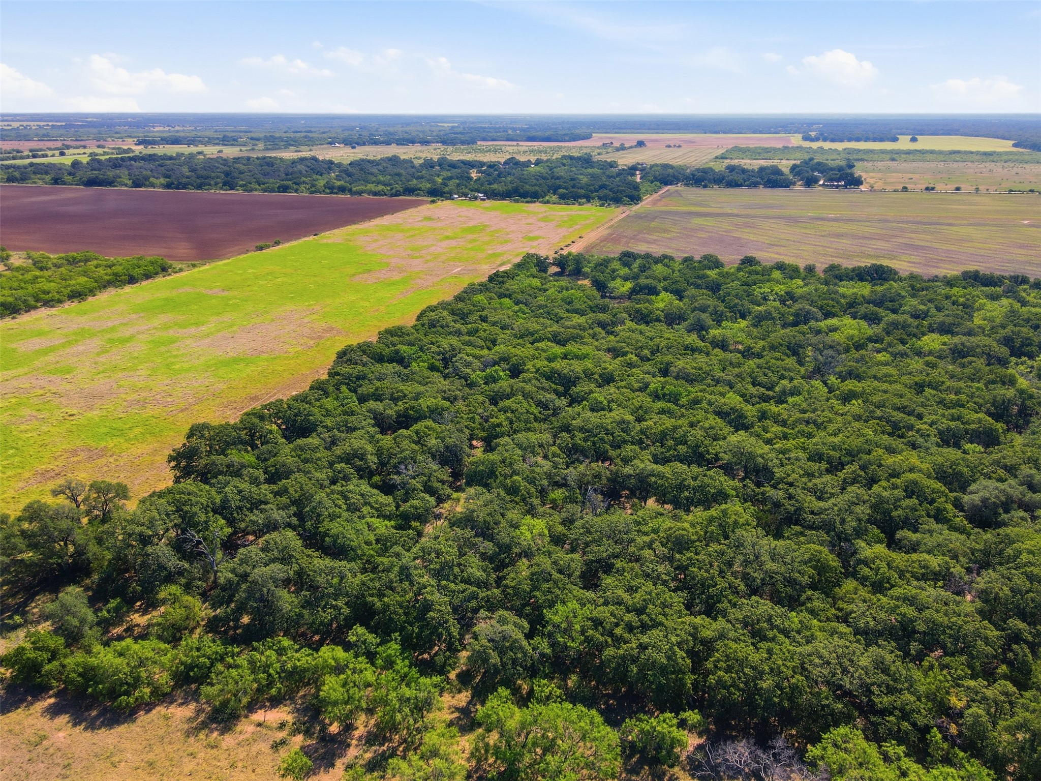Aerial view of wooded rural land bordered by open green and cultivated fields.