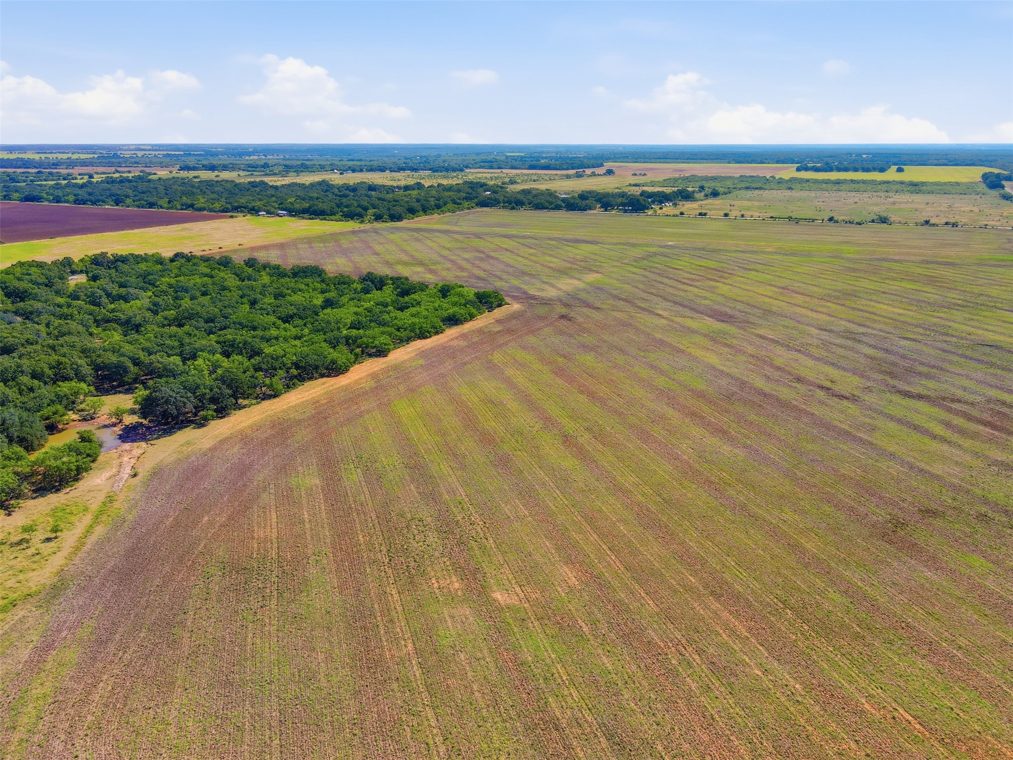 Aerial view of cultivated fields bordered by woods, with a small creek near the lower left.