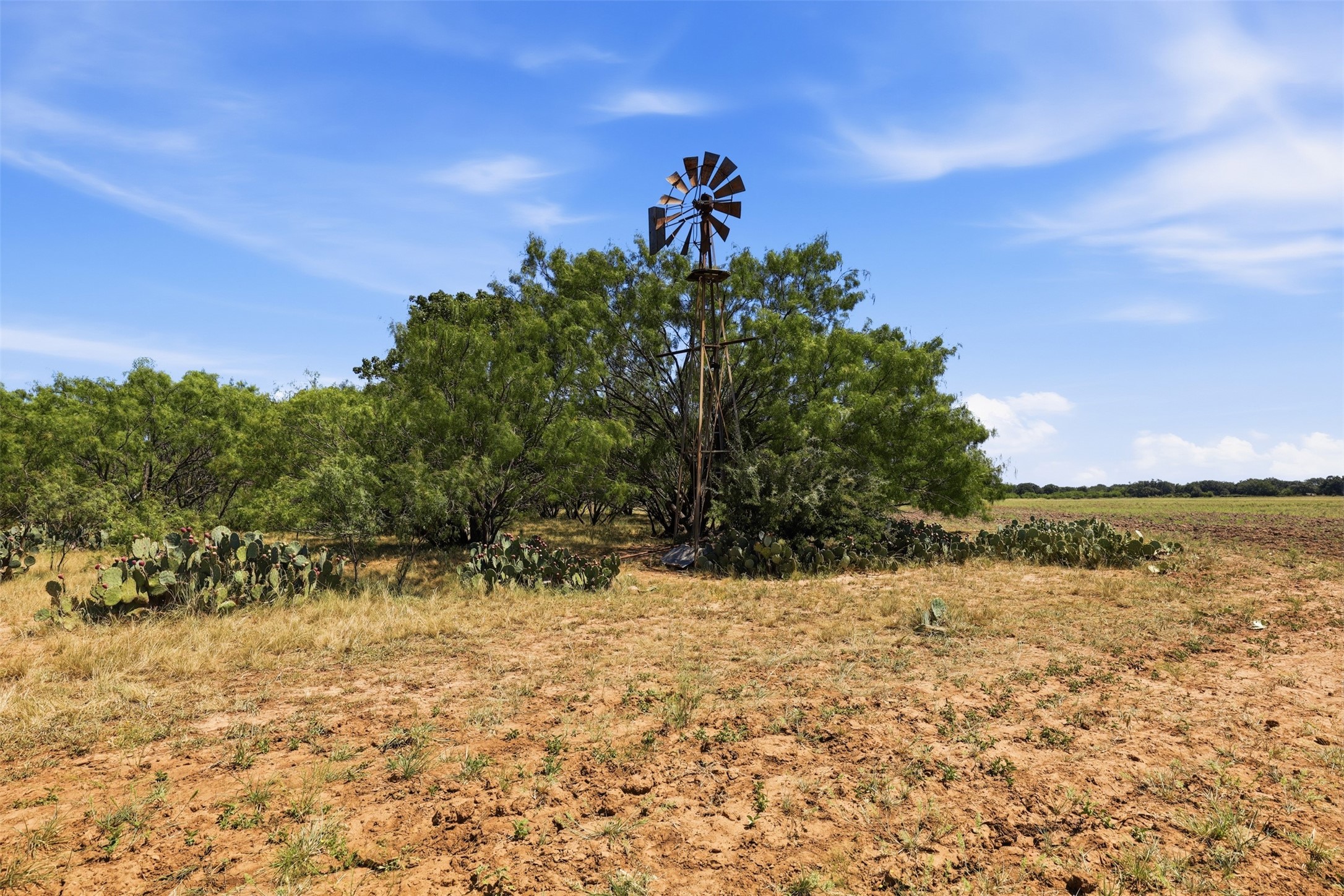 Rural vacant land with a tall metal windmill, prickly pear cactus, and open fields.
