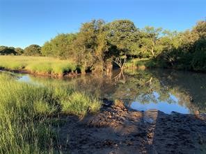 Rural creek bordered by tall grasses and trees, reflecting the surrounding greenery.