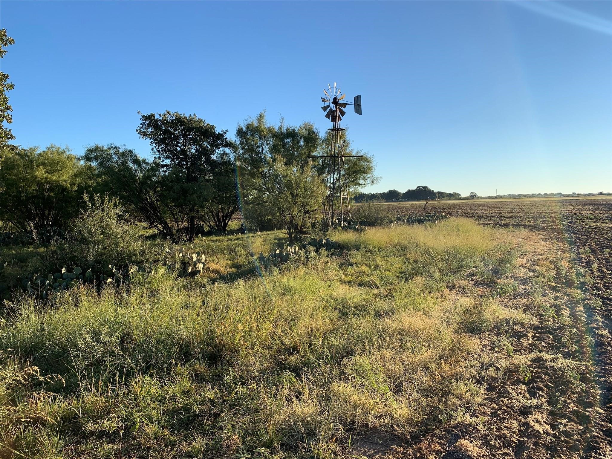 Rural land with a metal windmill, prickly pear cactus, and cultivated field.