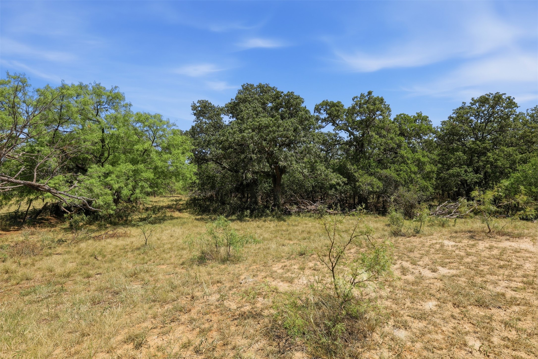 Rural land with a dry grassy clearing, low brush, and mature trees.