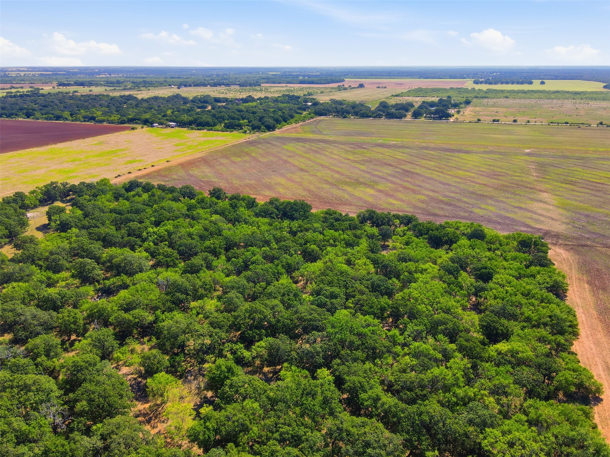 Aerial view of wooded acreage beside expansive cultivated fields and a dirt track.
