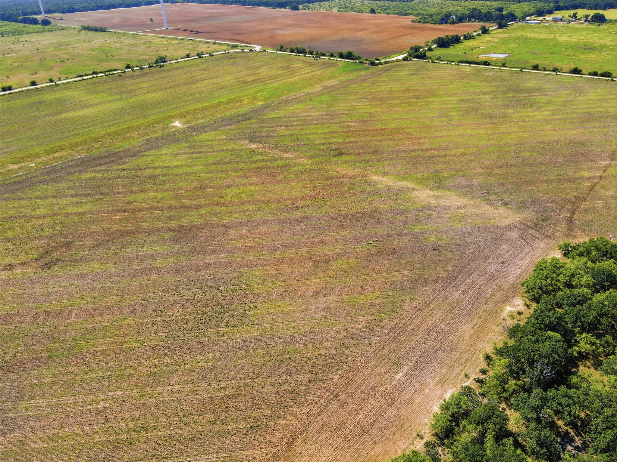 Aerial view of a broad cultivated field bordered by a road and dense trees.