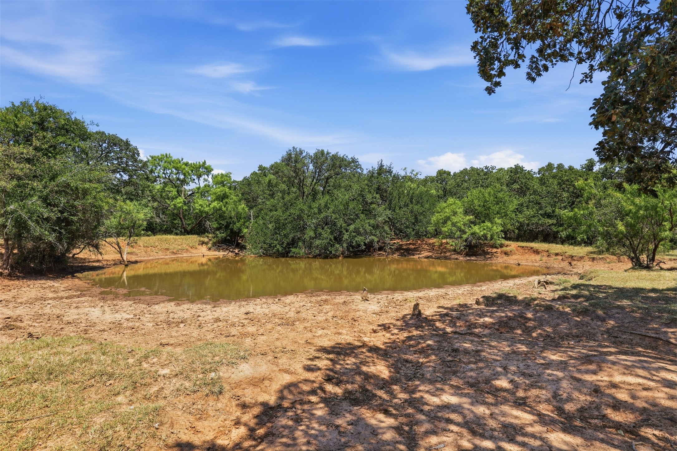 Small pond surrounded by trees on a rural property.