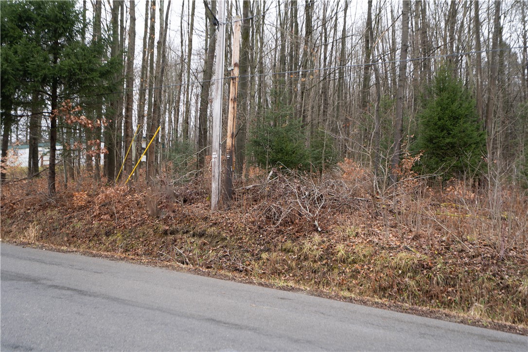 0 Sawdust Road