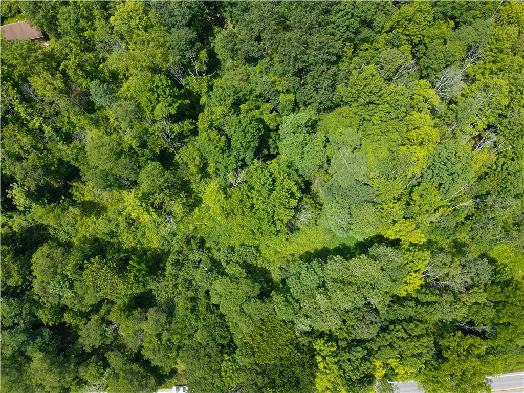 7080 Springwater Road