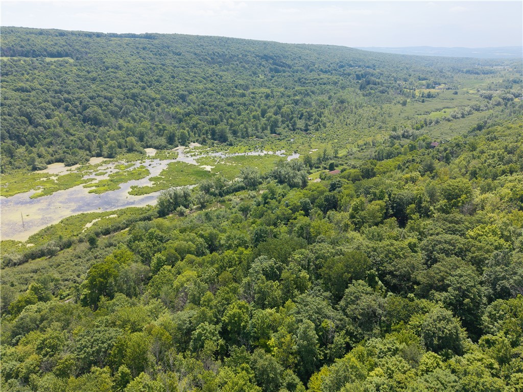 7080 Springwater Road