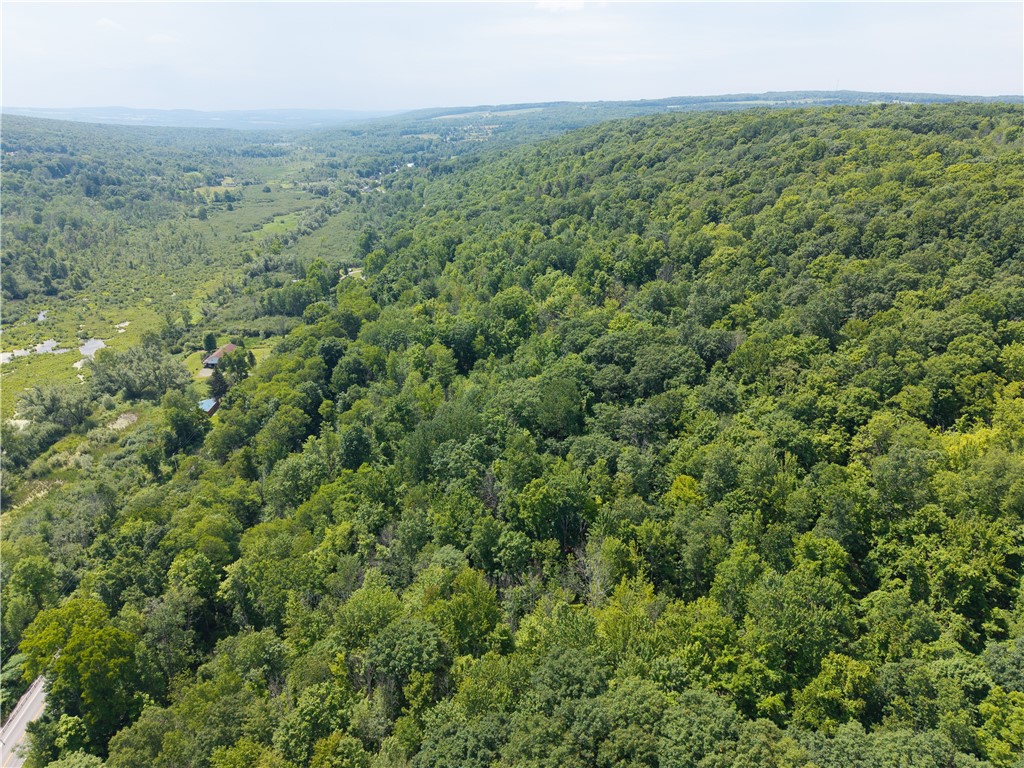 7080 Springwater Road