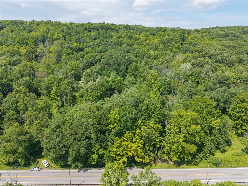 7080 Springwater Road