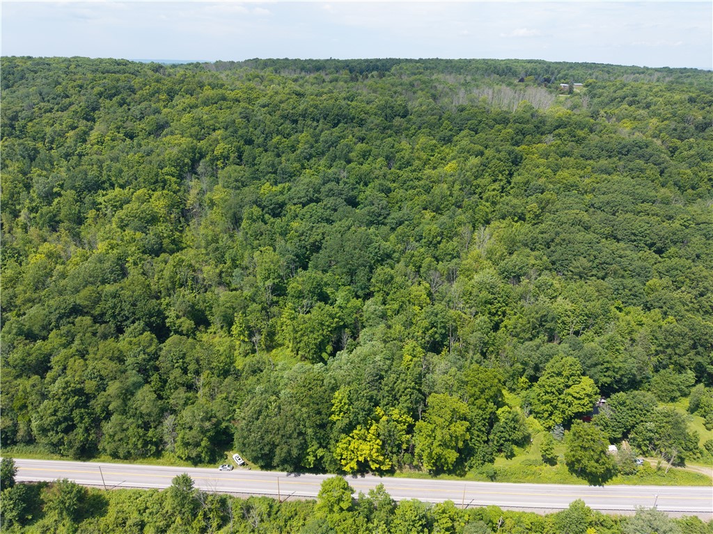 7080 Springwater Road