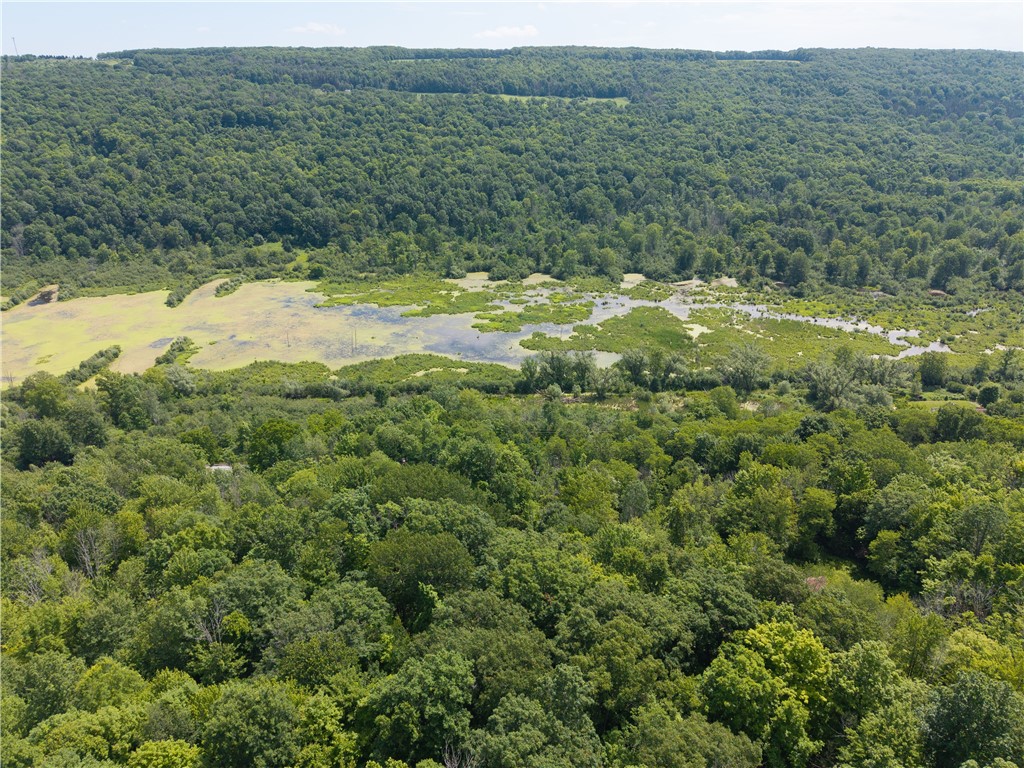 7080 Springwater Road