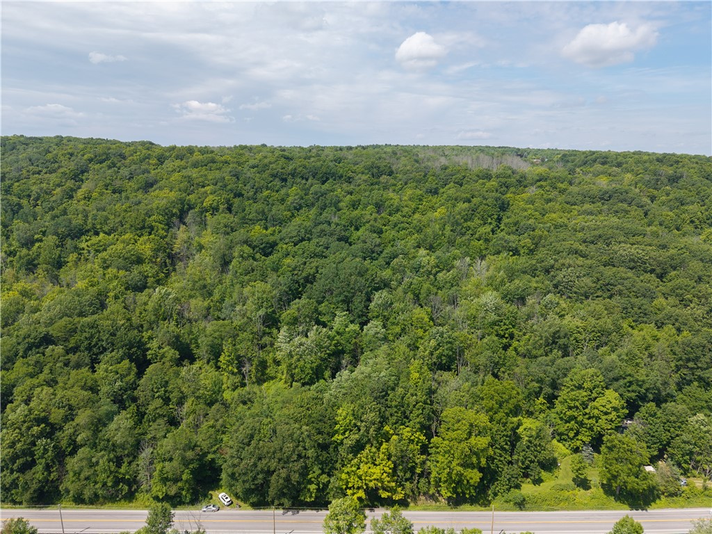 7080 Springwater Road