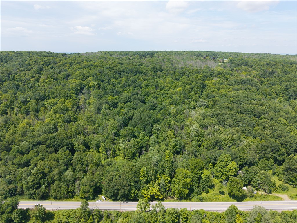 7080 Springwater Road