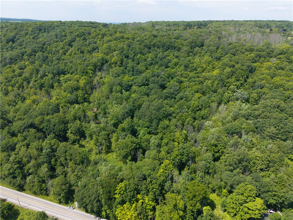 7080 Springwater Road