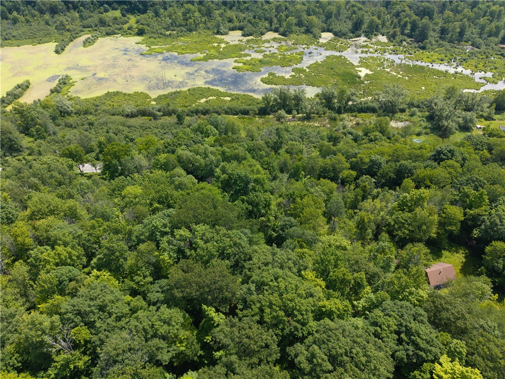 7080 Springwater Road