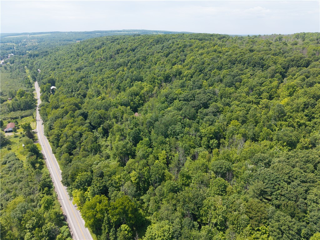 7080 Springwater Road