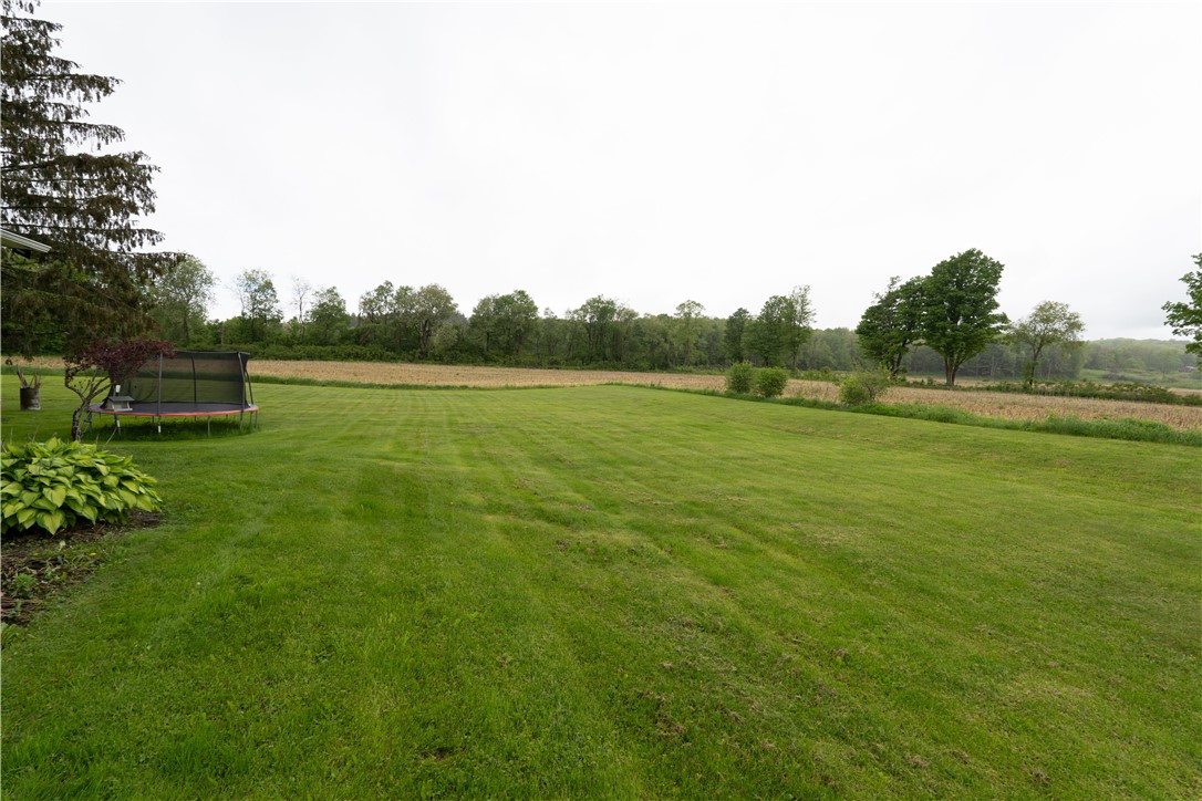 9092 Carney Hollow Road