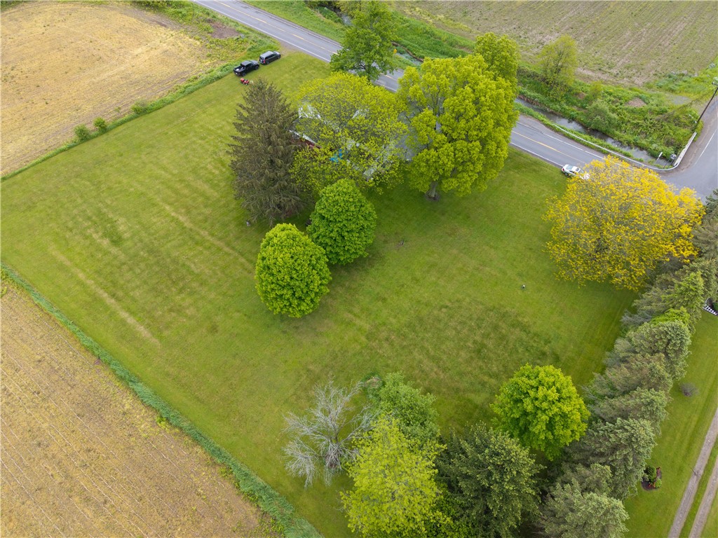 9092 Carney Hollow Road