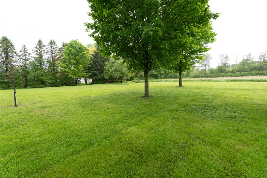 9092 Carney Hollow Road