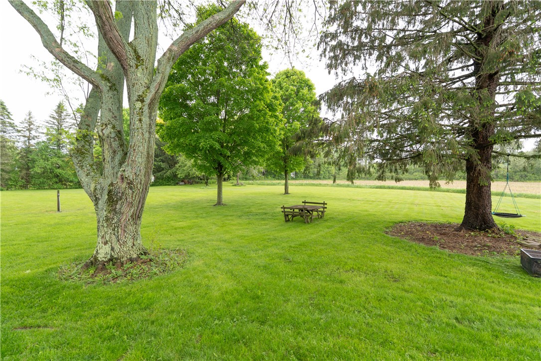 9092 Carney Hollow Road