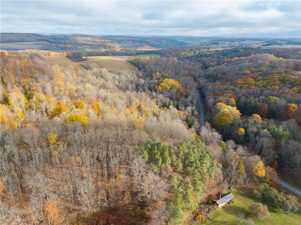 7165 County Route 69