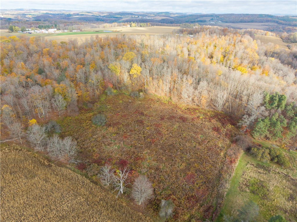 7165 County Route 69