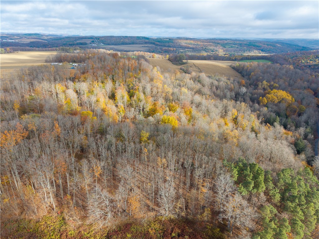 7165 County Route 69