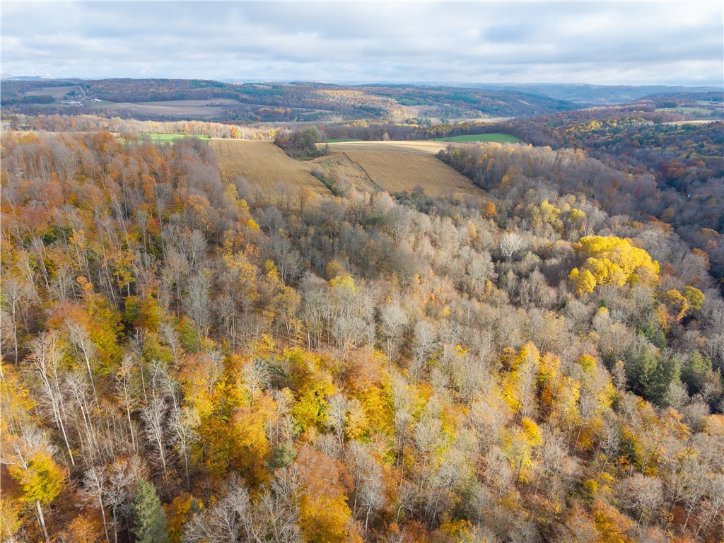 7165 County Route 69