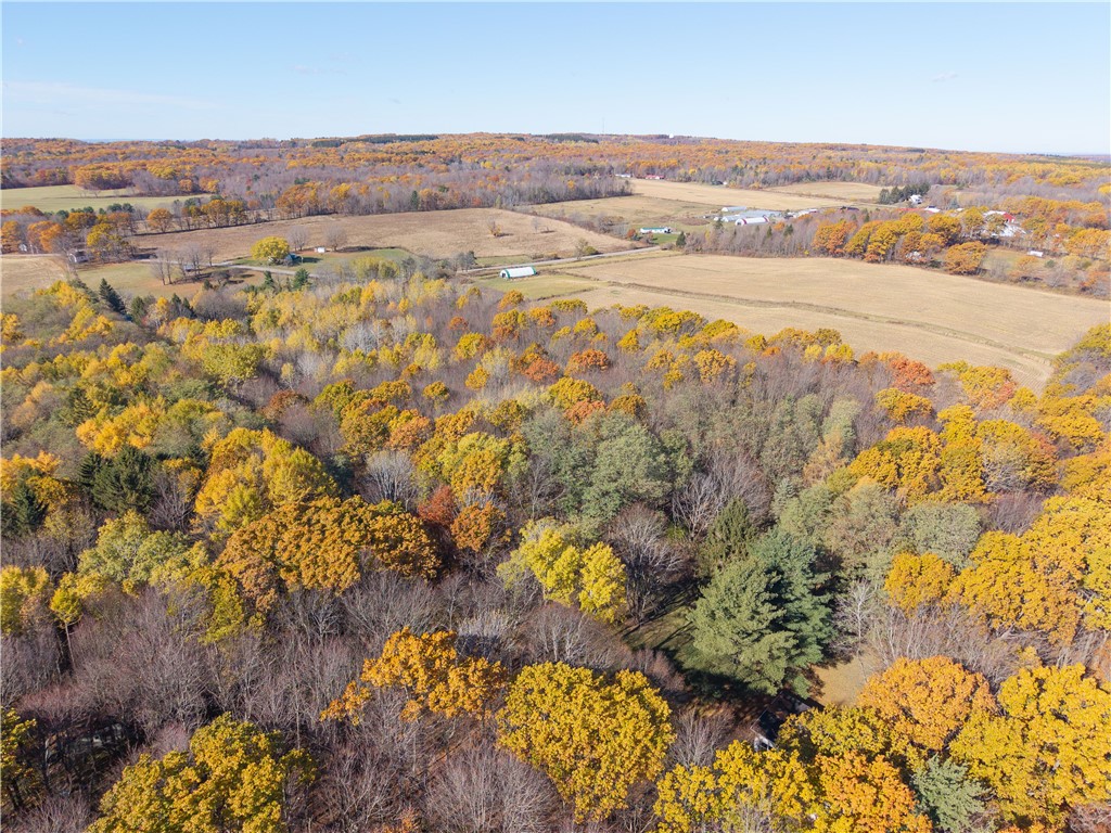 8387 Carney Hollow Road