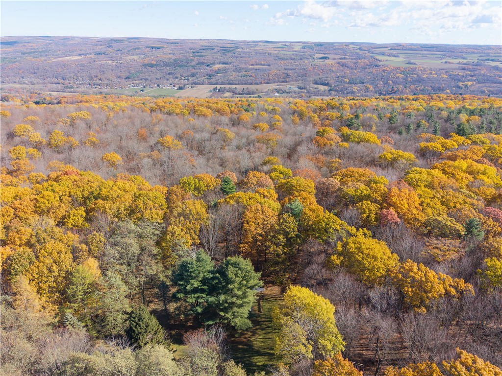 8387 Carney Hollow Road