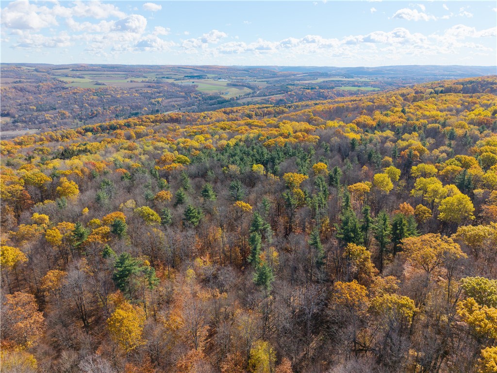 8387 Carney Hollow Road