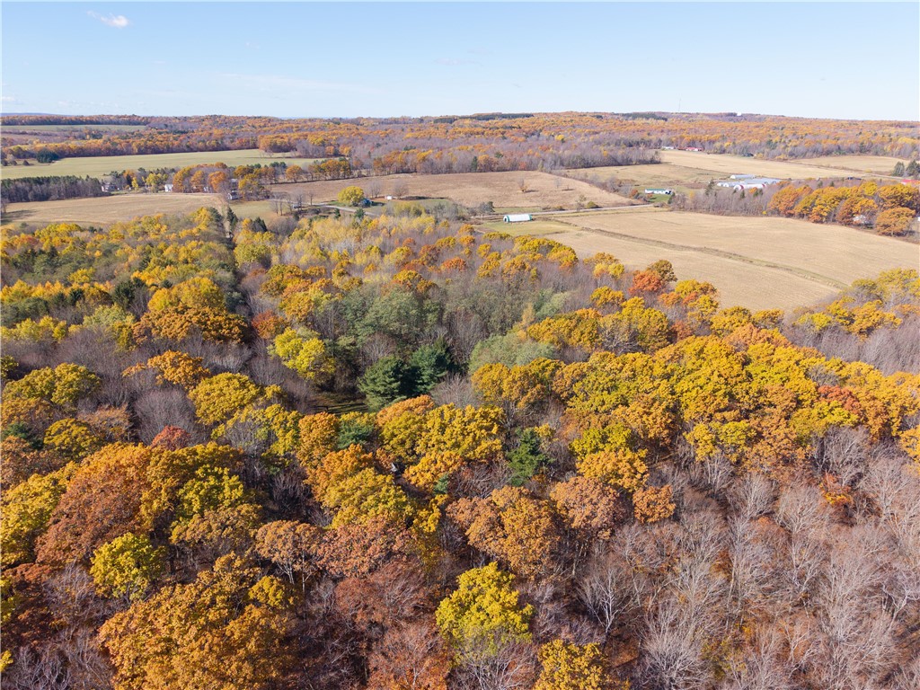 8387 Carney Hollow Road